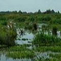 Wandelroute Wikelslân
