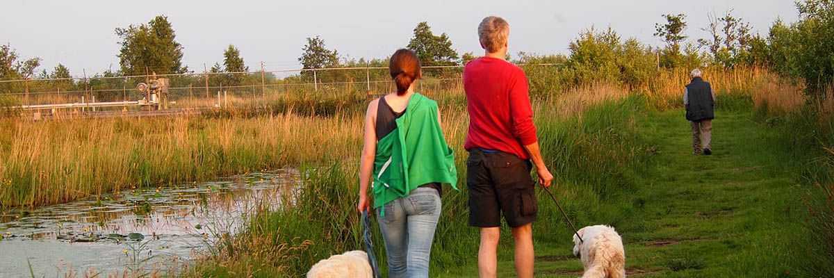 Wandelen door De Alde Feanen