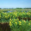Fietsen door een weids landschap