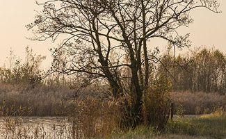 Nationaal Park de Alde Feanen