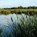 Wandelen door De Alde Feanen