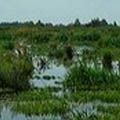 Wandelroute Wikelslân
